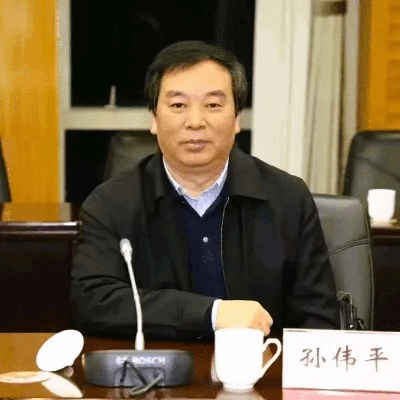 图片孙.png